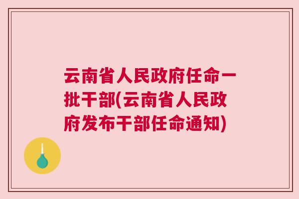 云南领导层最新任免动态，新变化与发展展望