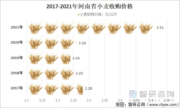 今日小麦价格走势分析，市场动向与影响因素探讨