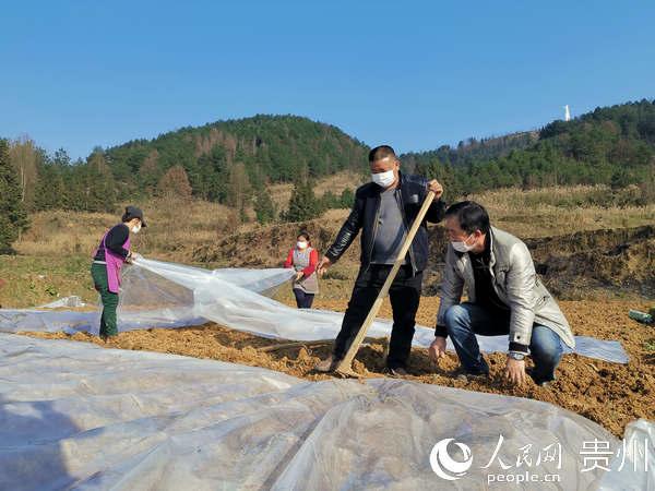 思南县发展和改革局最新项目概览