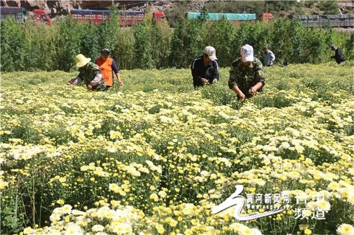 山西省晋中市昔阳县孔氏乡领导团队最新概况